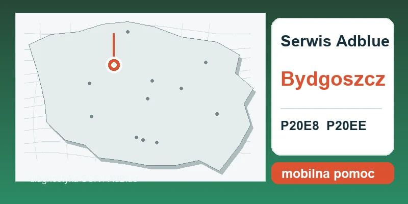 naprawa AdBlue Bydgoszcz mapa lokalizacji serwis AdBlue P20E8 P20EE