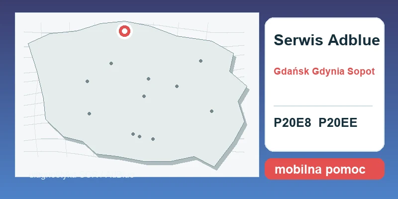 naprawa AdBlue Gdańsk Gdynia Sopot mapa lokalizacji serwis AdBlue P20E8 P20EE